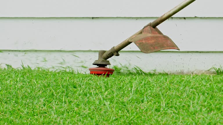 Best Organic Lawn Care Solutions  in Lacoste, TX
